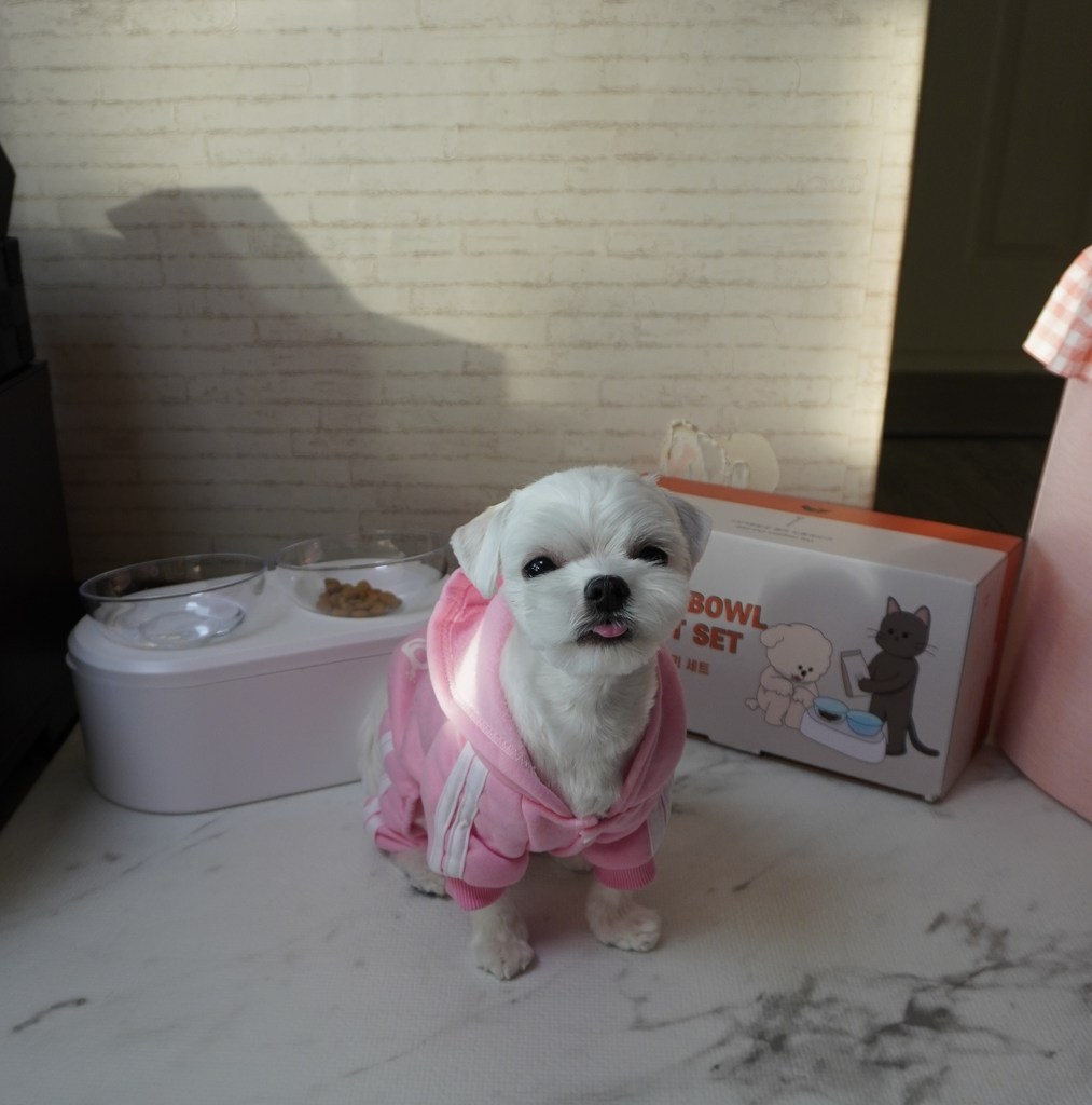 리스펫 반려동물 더블 볼 식기 2구  캐비닛