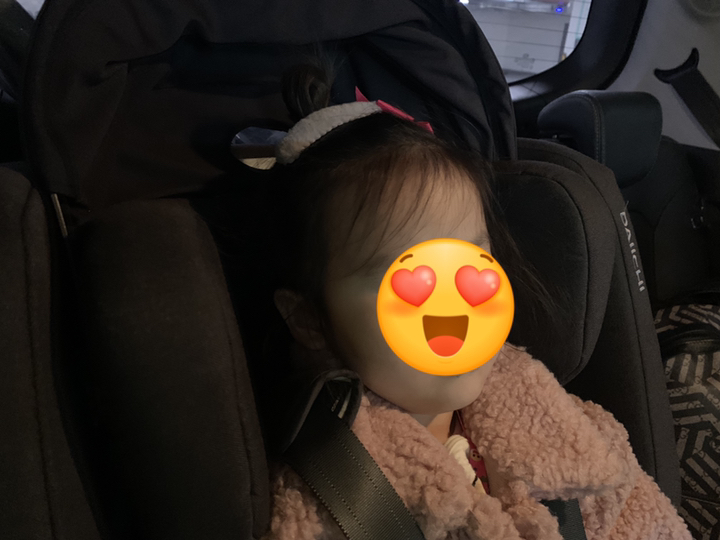다이치 브이가드 ISOFIX 토들러 카시트 분리형 썬바이저