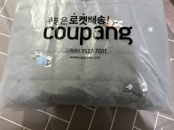 라몬떼 댕댕이 세미마이크로 패드 겸 카페트
