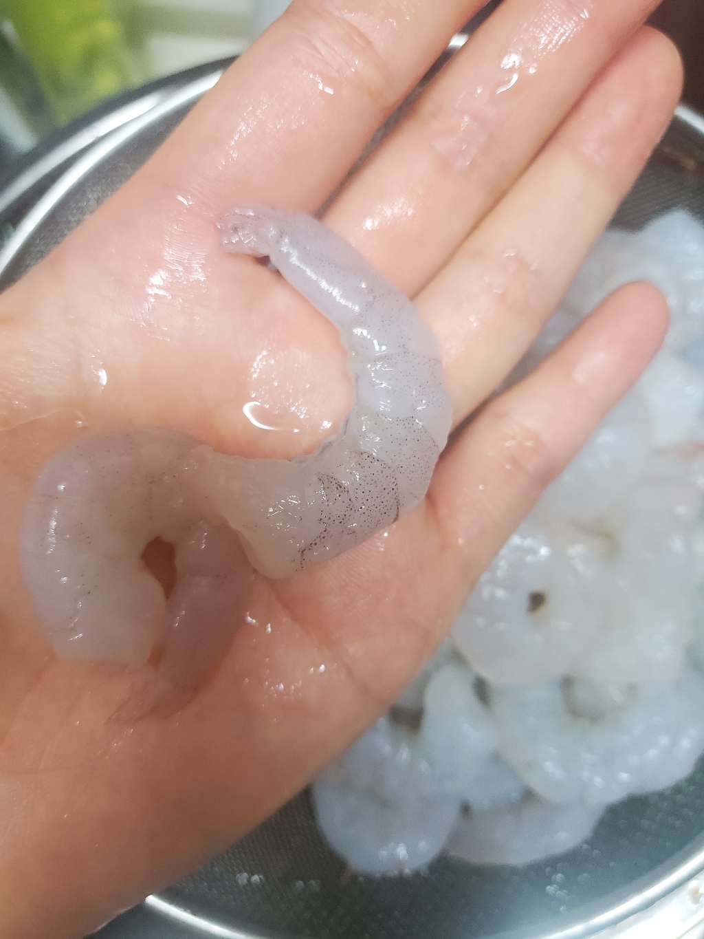 곰곰 작은 생새우
