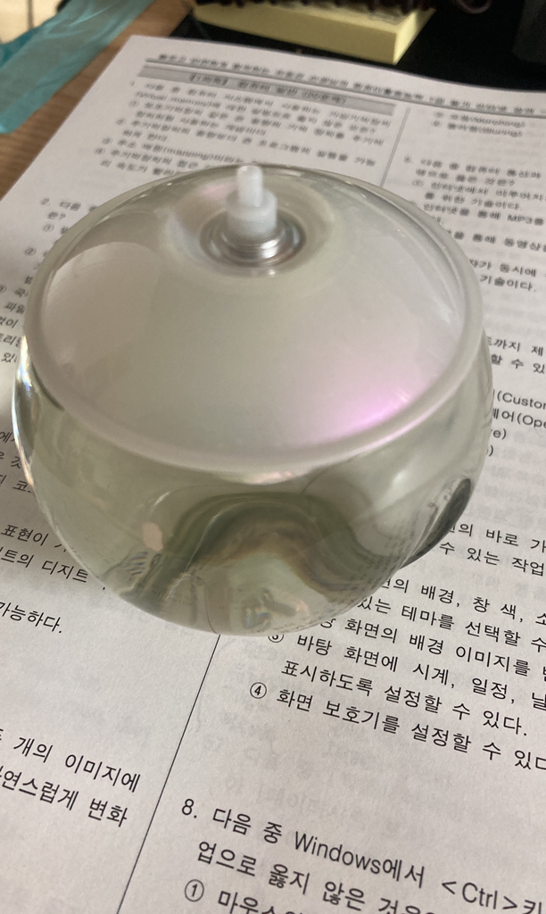까사렐 노아 EDT