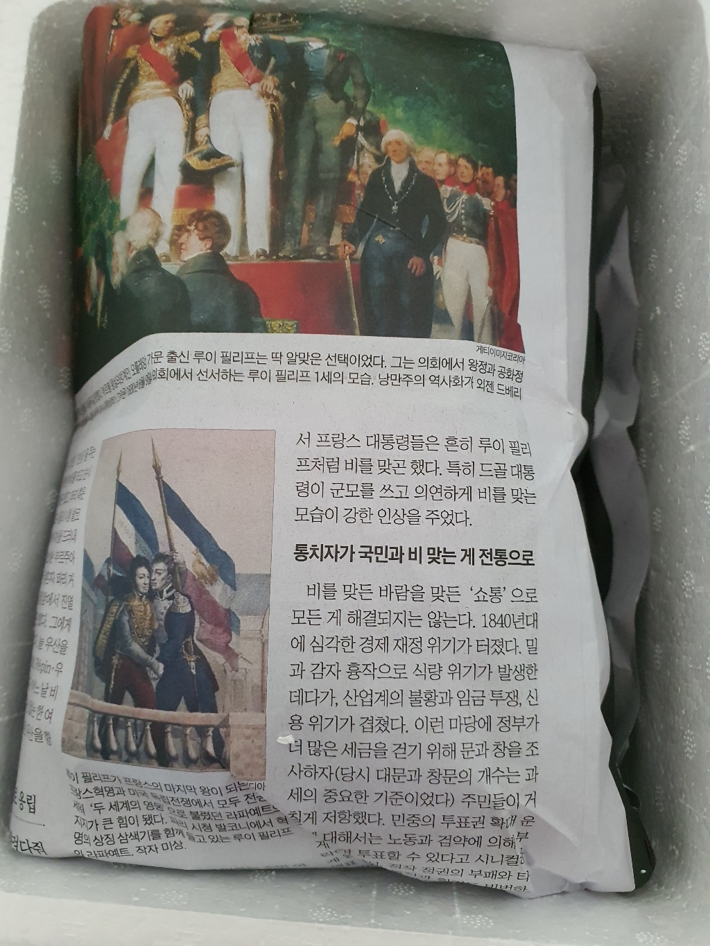 [냉동포장무료] 디코 냉동장구벌레 냉짱 짱구벌레  열대어 물고기 구피 생먹이 사료 밥
