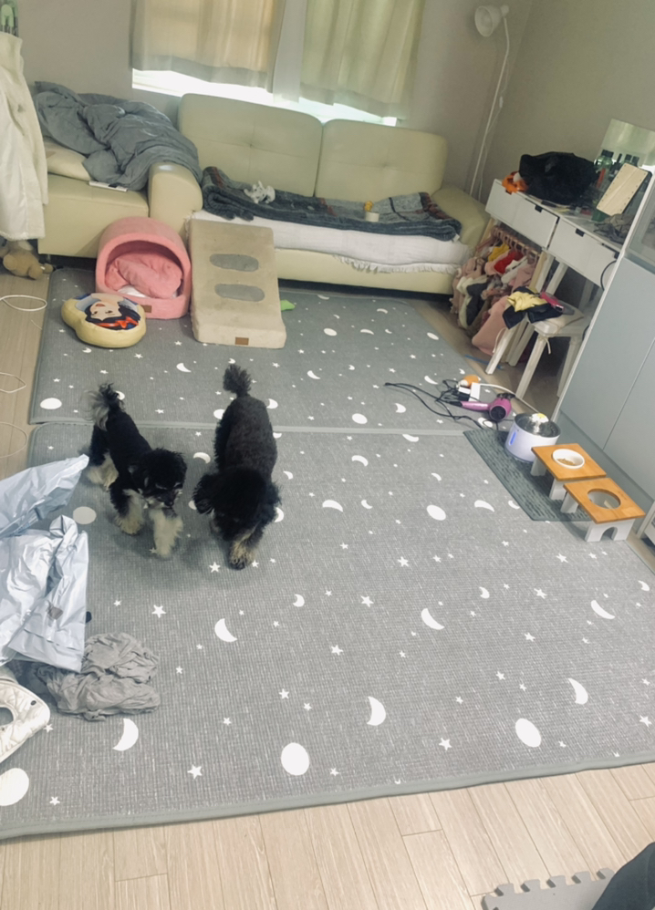맘앤마음 논슬립 프리미엄 스타문 유아놀이방 매트