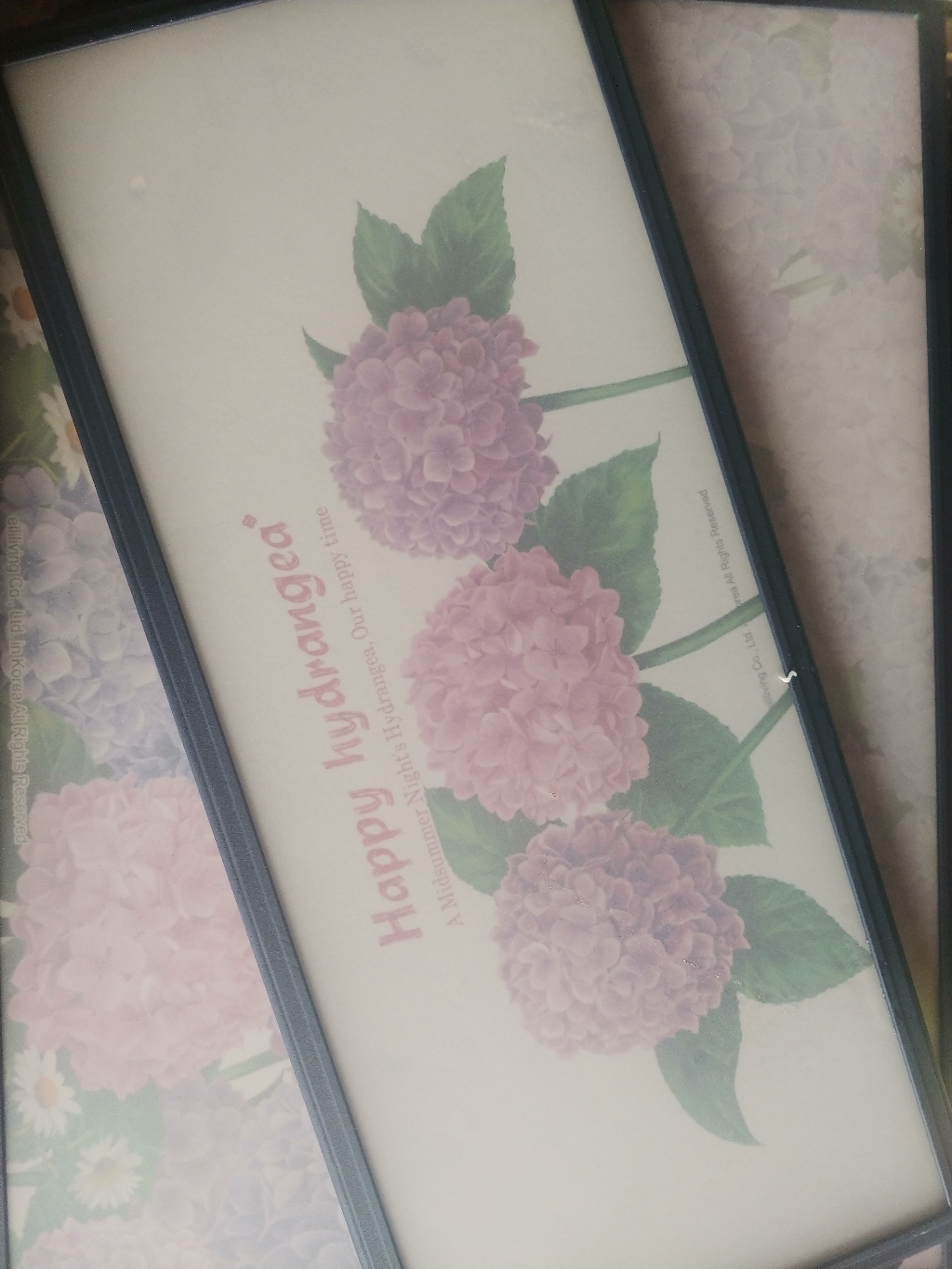 엘리 사각 도마 대 와이드