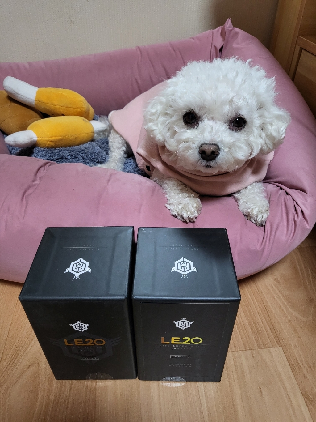 펫솔루션 프리미엄 E20 조인트 강아지 관절영양제