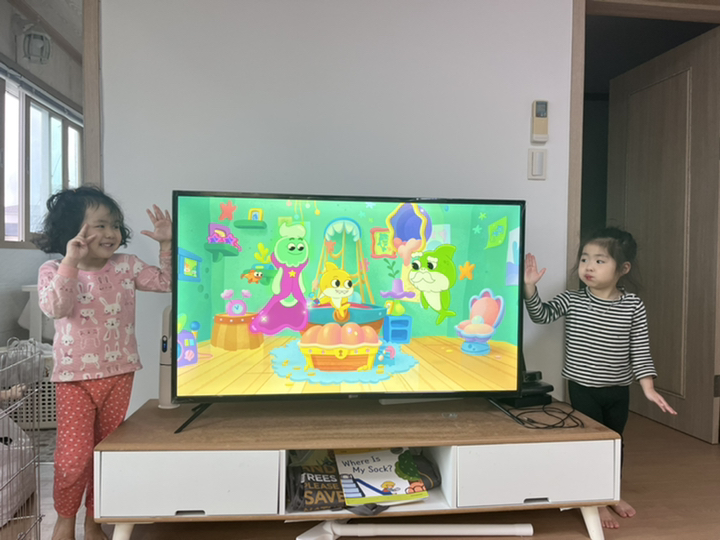 아남 4K UHD ED TV