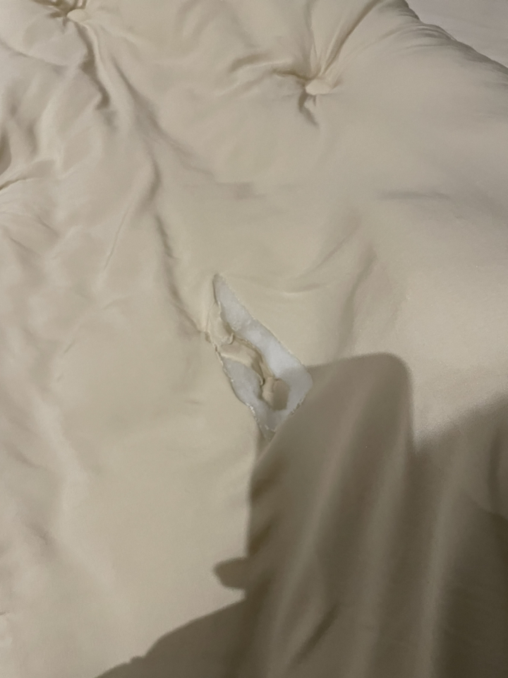 에이트룸 차르르 먼지없는 항균 렌징 모달 차렵이불 풀세트