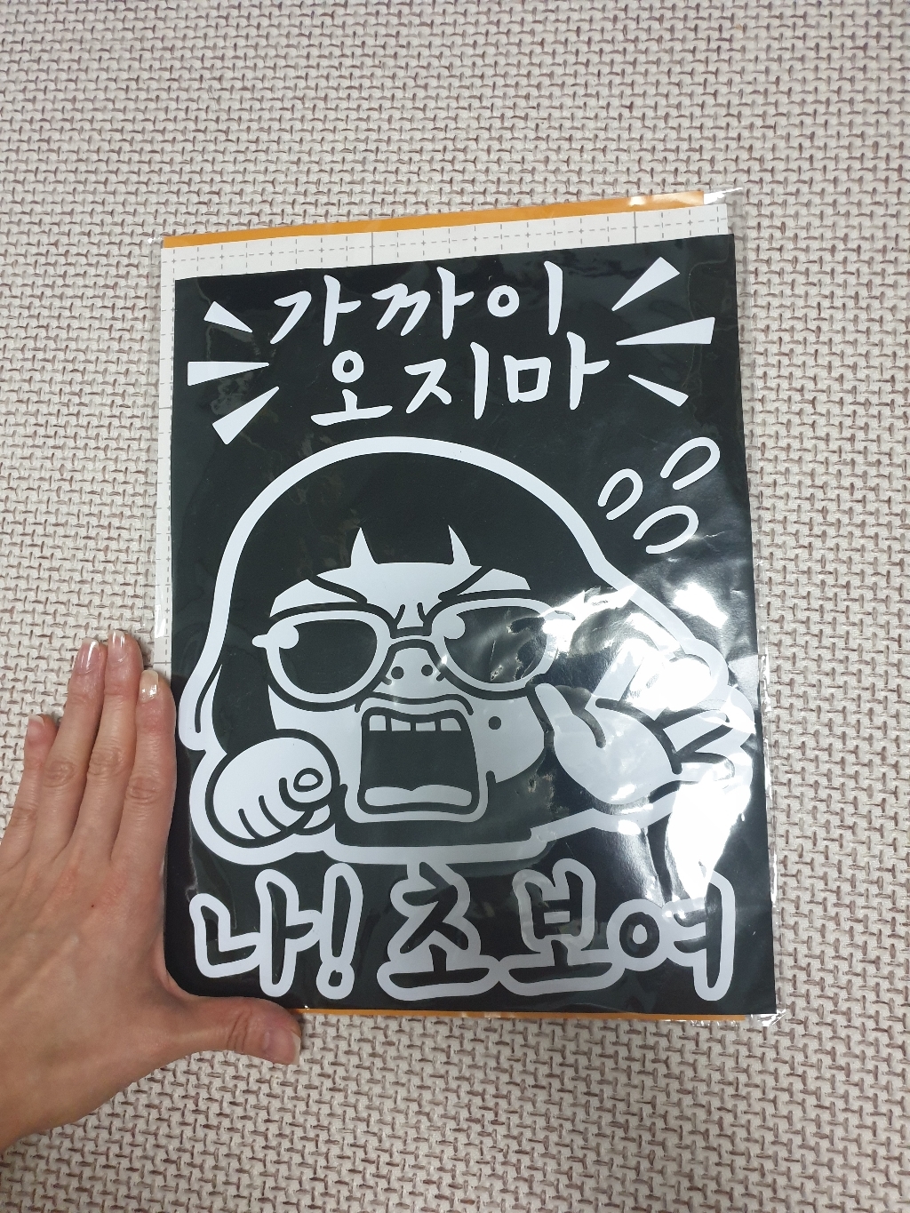 제제데코 자동차 스티커 가까이오지마 나 초보여