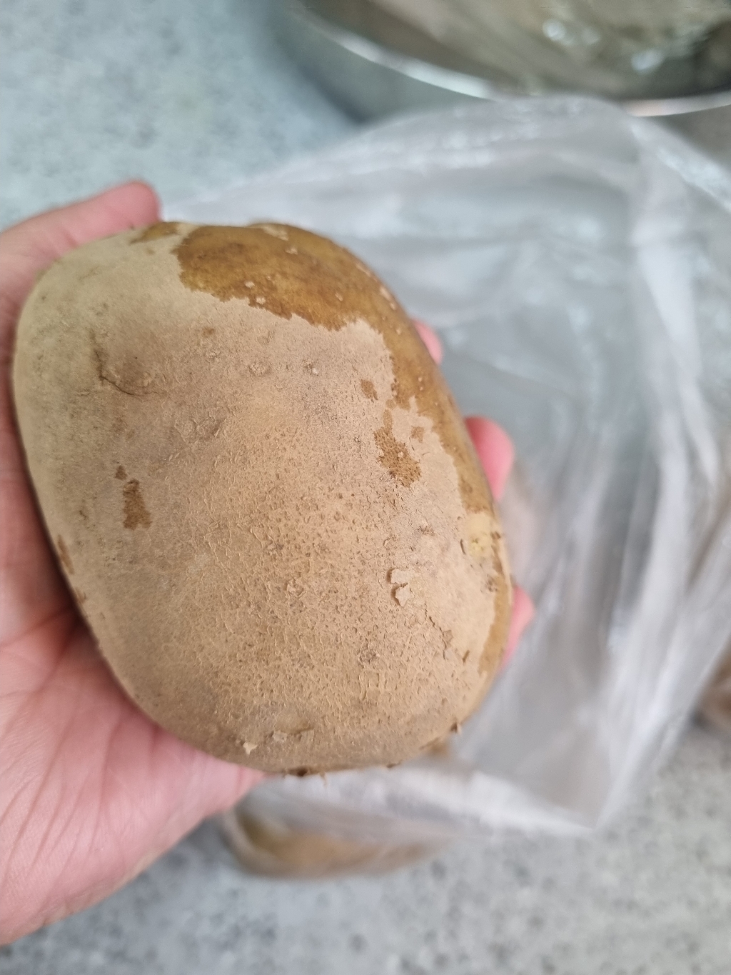 신난데이 포슬한 카스테라 명품 햇개진감자