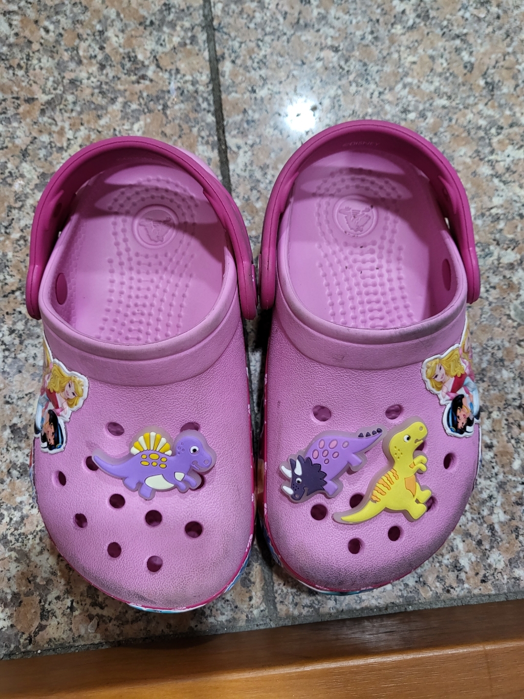 야광 공룡 파츠 슈비츠