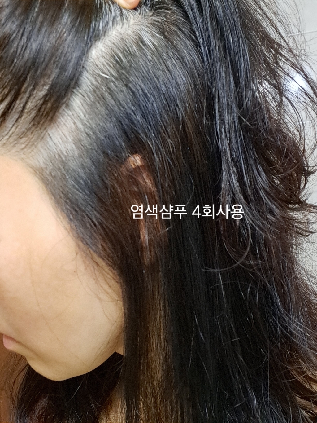 [2주간의 변화] 새치샴푸 컬러 염색샴푸 새치커버 흰머리 염색약 스미오  리뷰 후기