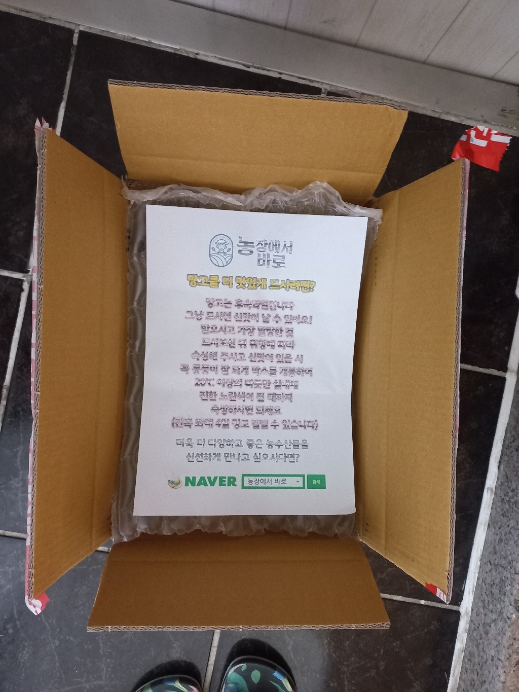 농장에서바로 프리미엄 망고