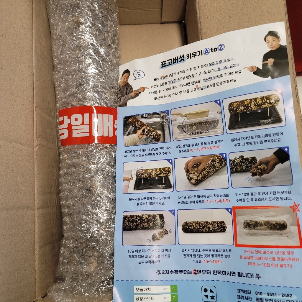 집에서 표고버섯 키우기 표고키트 버섯키우기 배지 베지