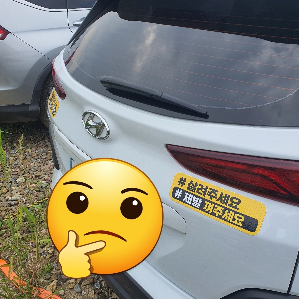 제제데코 초보운전 자동차 탈부착 자석 고휘도 반사 스티커 시트지 미디엄 E230 EC020 EC048