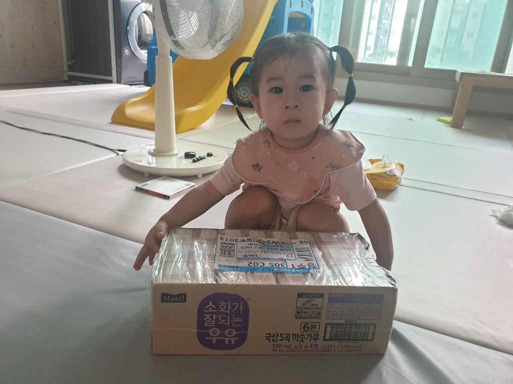 매일유업 소화가 잘되는 우유 5곡 미숫가루