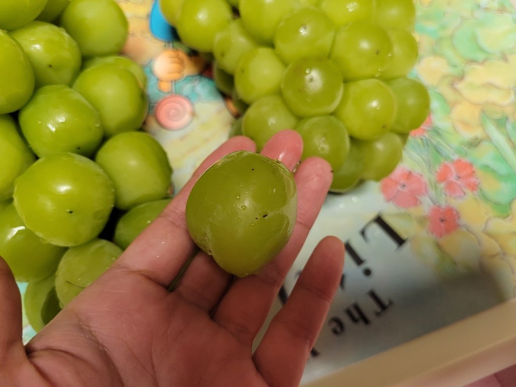 [텔납품용] 고당도 샤인머스켓 추석 선물 제철 과일 포도 망고포도 국내산 씨없는 청포도 리뷰 후기