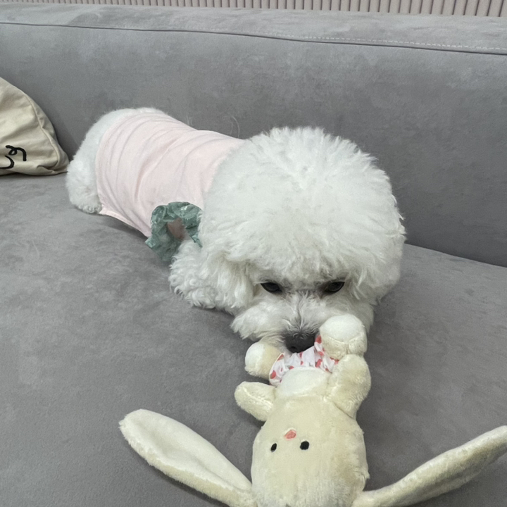 바잇미 강아지 나의 애착인형 장난감