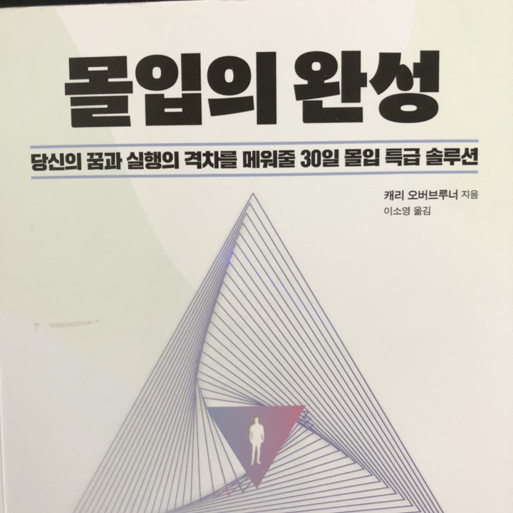 [현대지성]몰입의 완성 : 당신의 꿈과 실행의 격차를 메워줄 30일 몰입 특급 솔루션