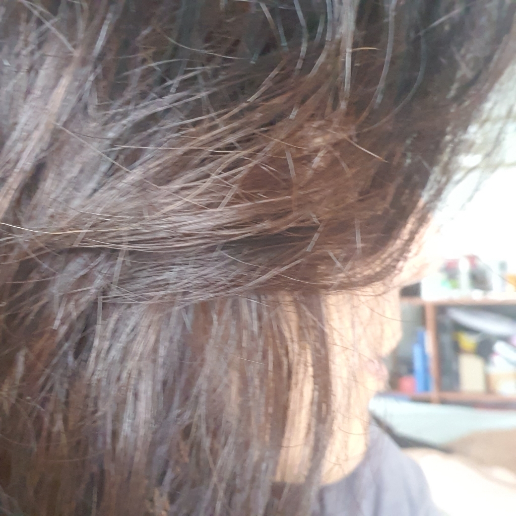 다리야 살롱드프로무향료헤어칼라 부분염색약 여성용3개세트 밝은 새치염색 새치커버 흰머리염색 일본염색약