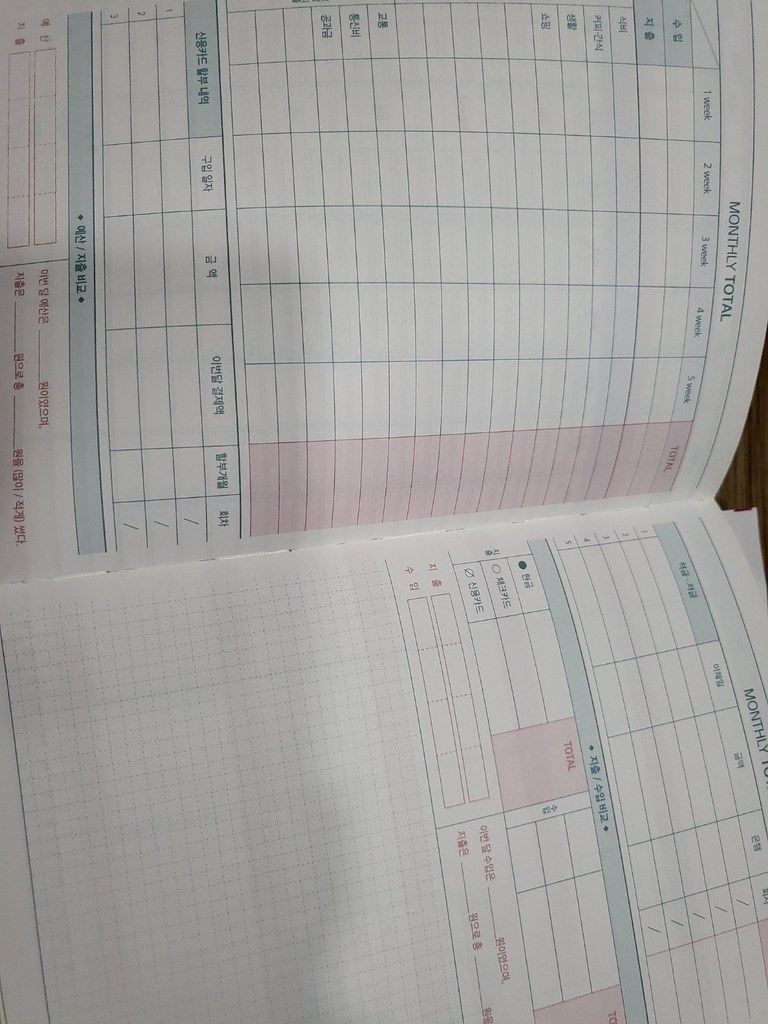 플라잉웨일즈 빨강머리앤 심플 캐시북