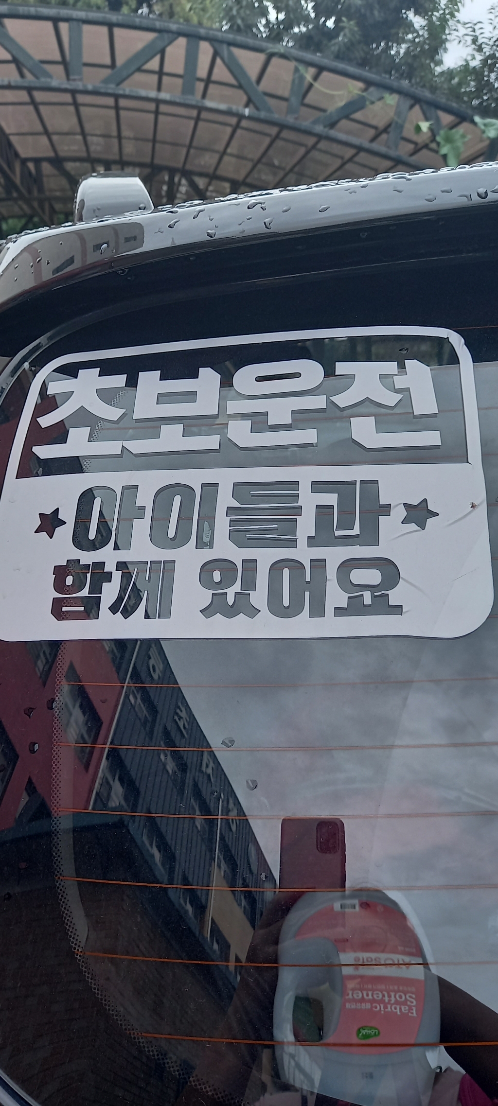 엠블렘 초보운전 아이들과 함께 리뷰 후기