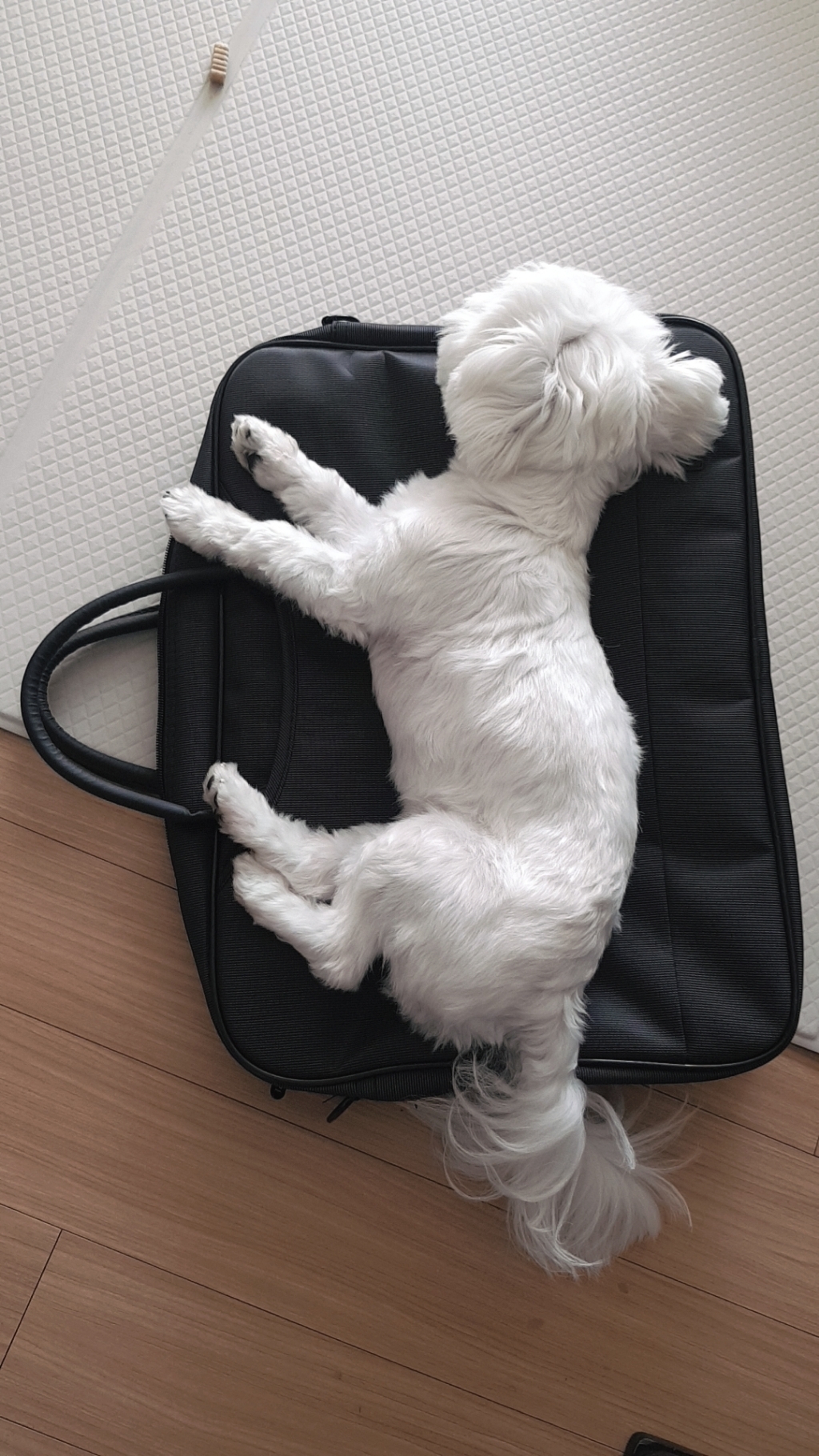 노트케이스 노트북 서류 가방 NOTE