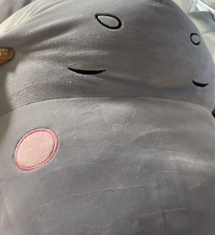 악어 모찌 대형 동물바디필로우인형 안고자는 쿠션
