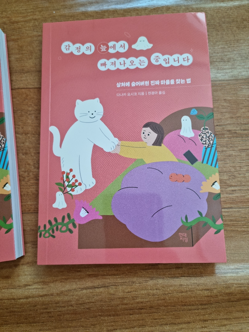 감정의 늪에서 빠져나오는 중입니다:상처에 숨어버린 진짜 마음을 찾는 법