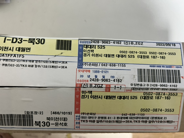 갑오징어 킬러 채비/쭈꾸미 문어 가지 낚시