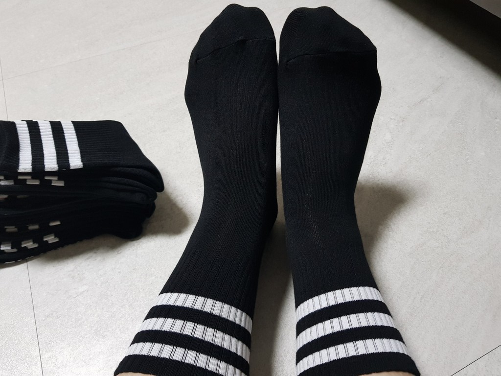 RN 여성용 스탠다드AA 패션 양말 8켤레