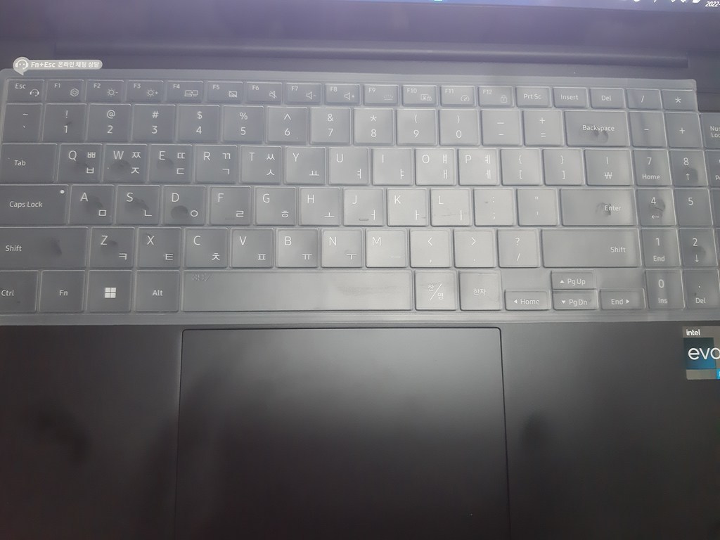 실리스킨 삼성전자 갤럭시북2 프로 NT950XED NT951XED NT950XEV용 키보드 키스킨-실리스킨156인치