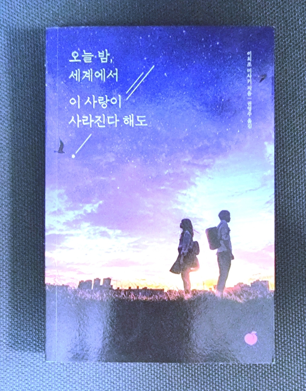 [모모]오늘 밤 세계에서 이 사랑이 사라진다 해도 : 매일 기억을 잃는 너와 두 번 다시 돌아갈 수 없는 사랑을 했다