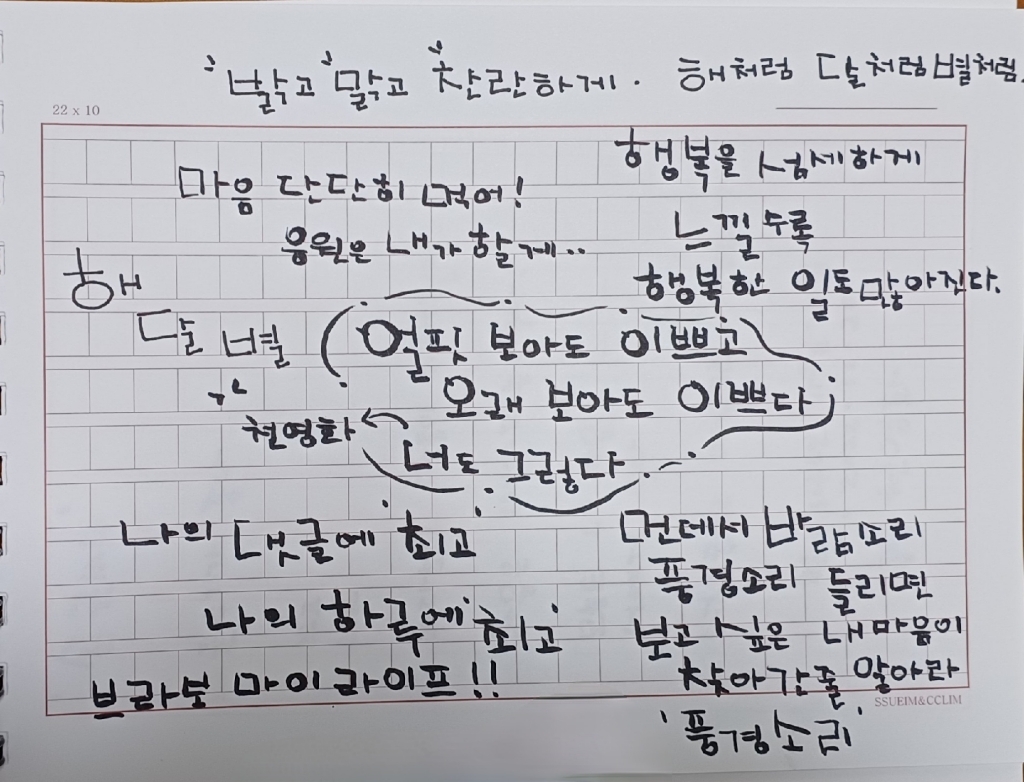 JNJ 붓글씨 붓펜 잉크 서예펜 중 대