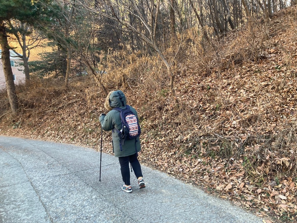 에너지아 3단 등산스틱
