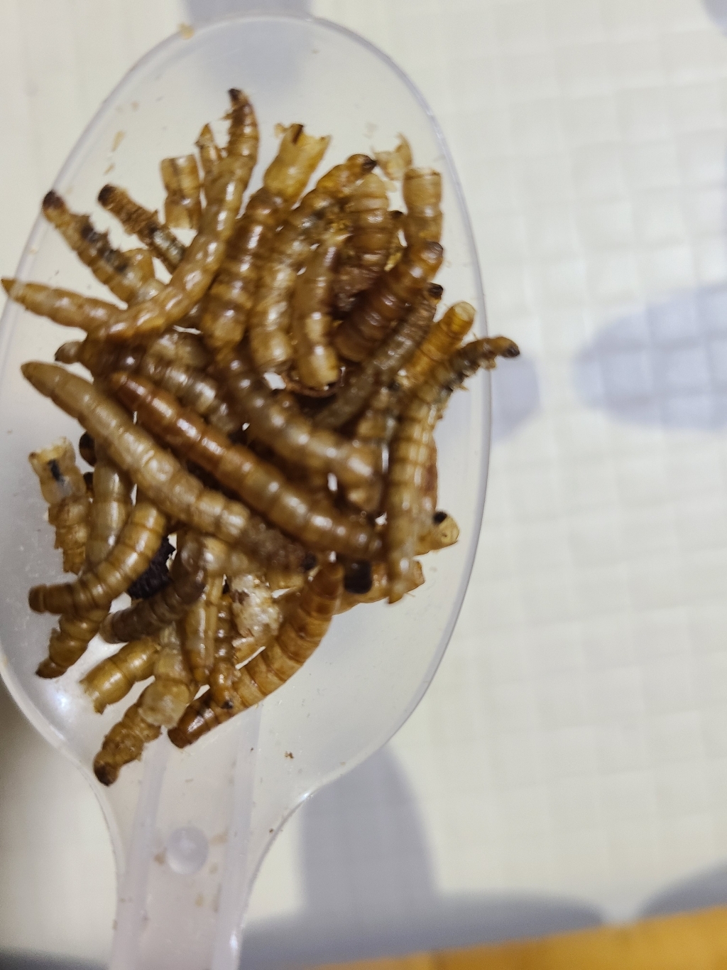 펫츠핸들러 건조밀웜 고슴도치사료 리필