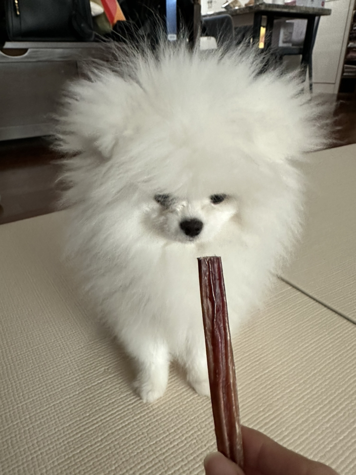 로렌츠 강아지 오래먹는 우신 건조간식