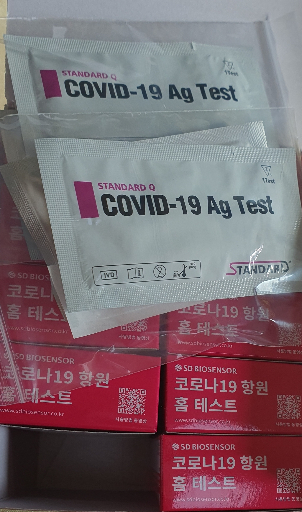 익투스 판매 약국정품 SD바이오 코로나 자가진단 검사키트 리뷰후기