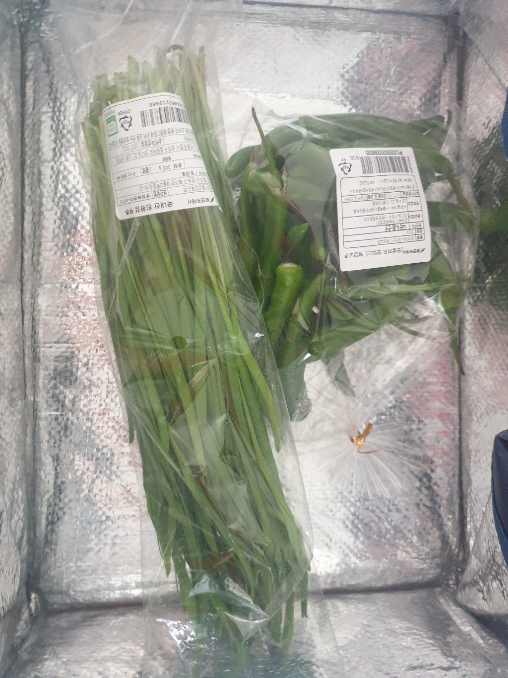 친환경 부추