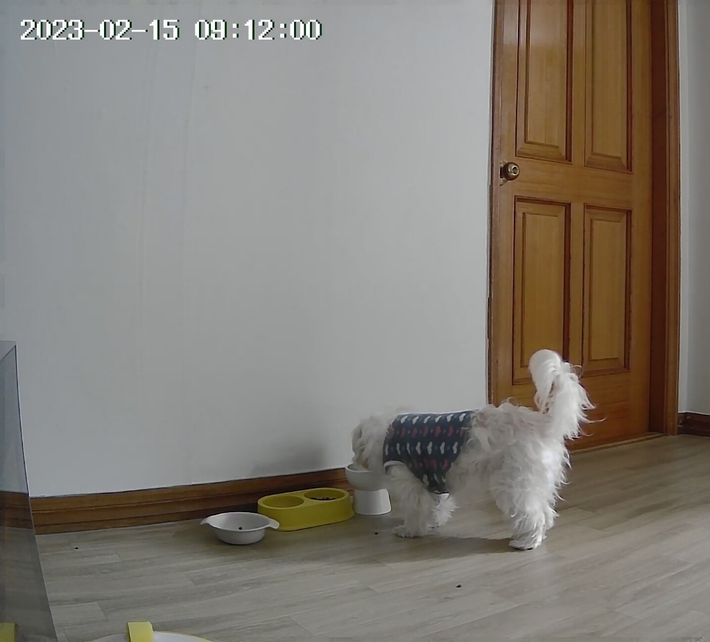 헤이홈 IoT 스마트 홈카메라 CCTV ro 플러스