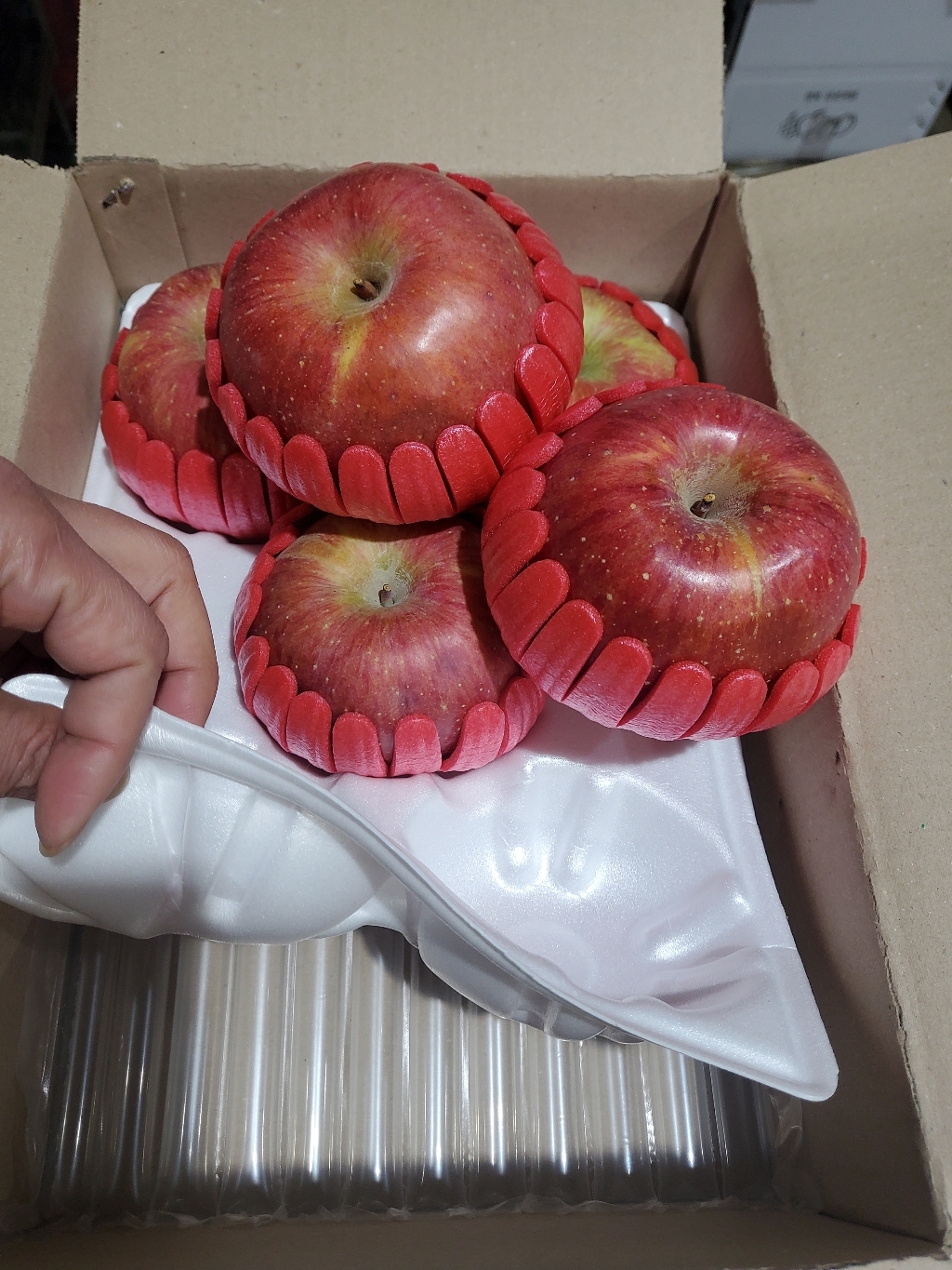 [ 13브릭스정품 프리미엄급 ] 고당도 꿀 사과 부사 선물용 제수용