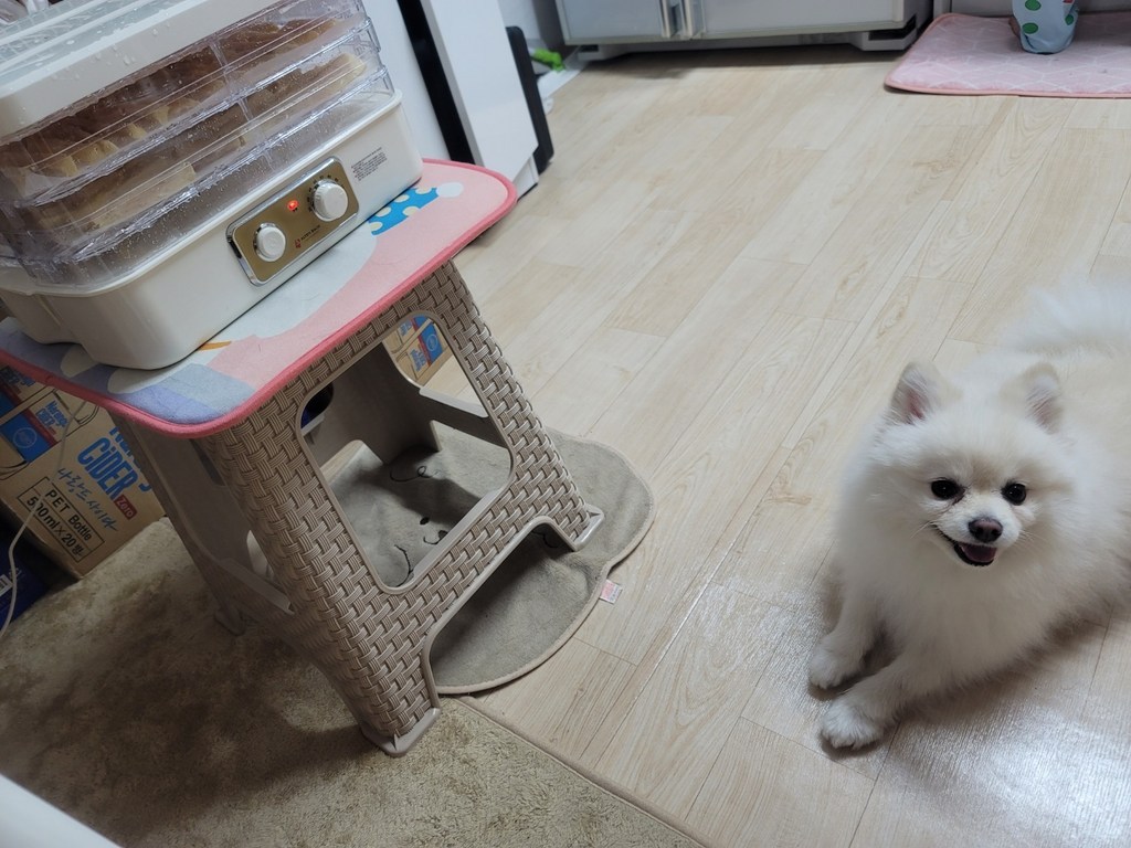 손질 소떡심 떡심 소힘줄 뉴반진 뉴티질 소심줄 스지 소사태 양지 홍두깨살