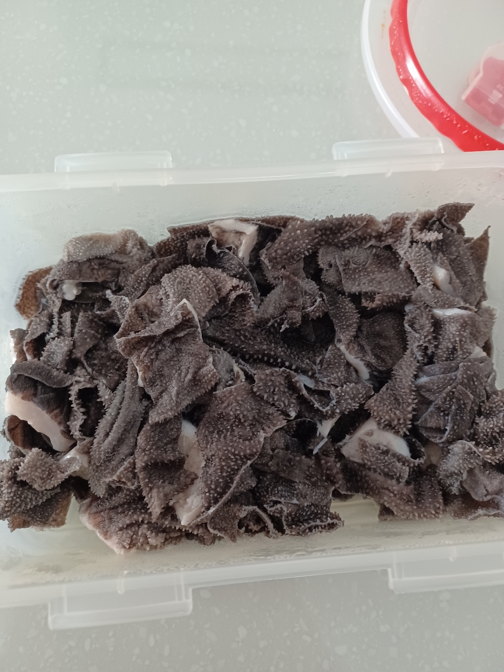 당일생산 한우냉장 소천엽 천엽 소내장 소간 소염통 소허파 깐양 소양
