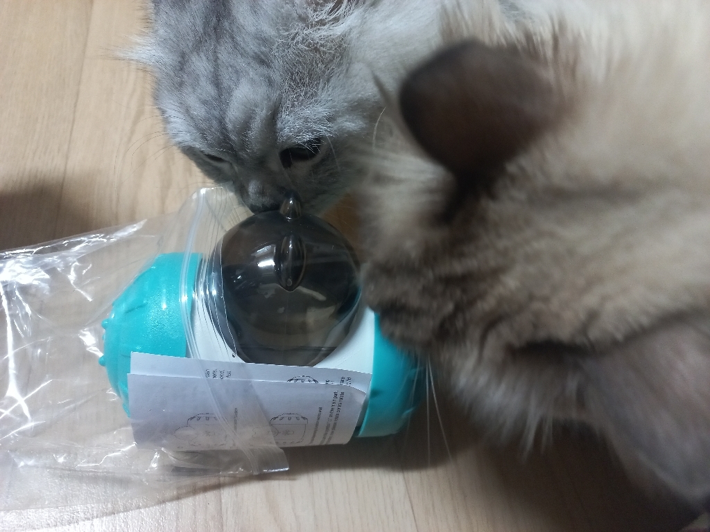딩동펫 반려동물 스윙 오뚝이 간식볼 14677109