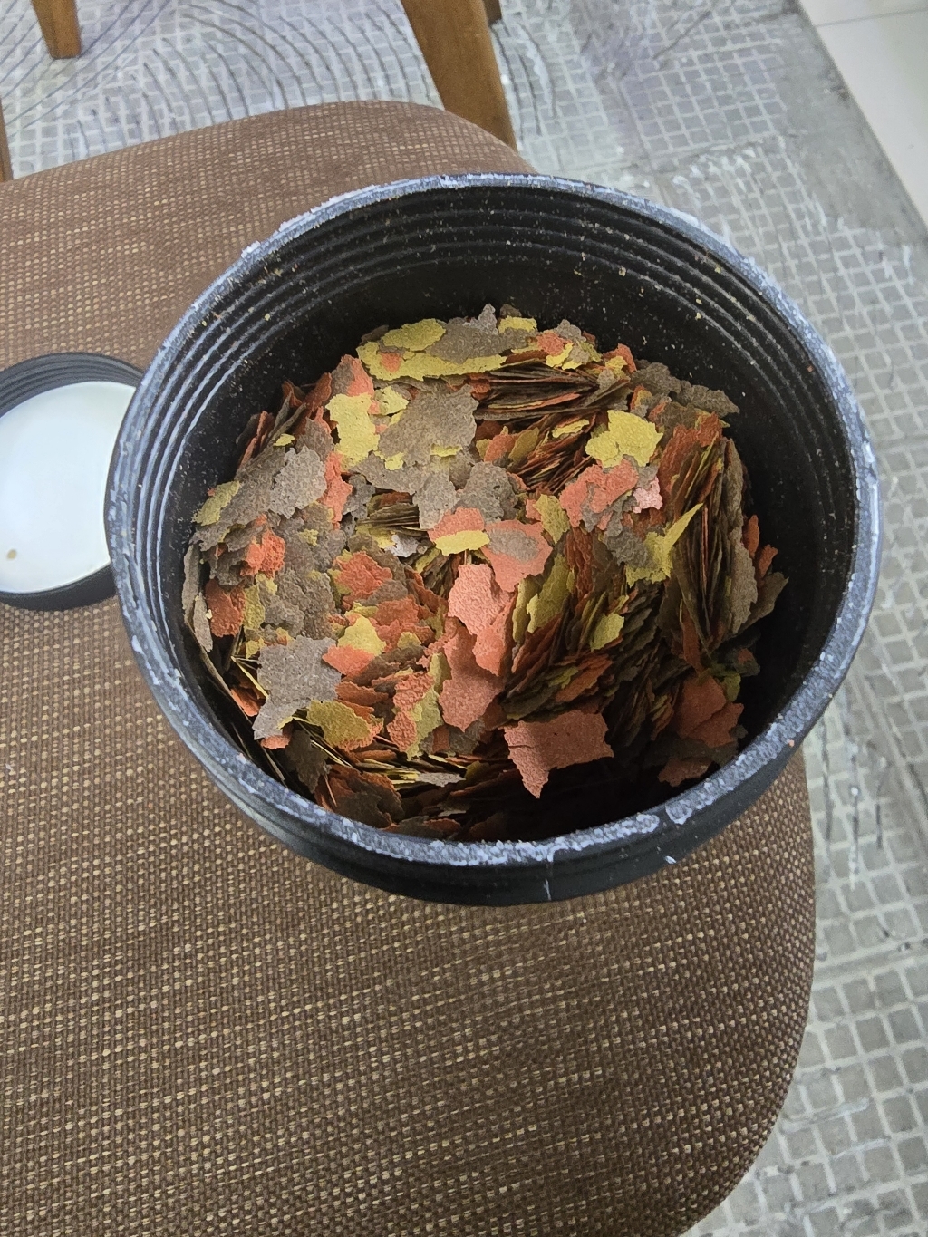위더스 프리미엄 플레이크 열대어 사료, 150g, 1개