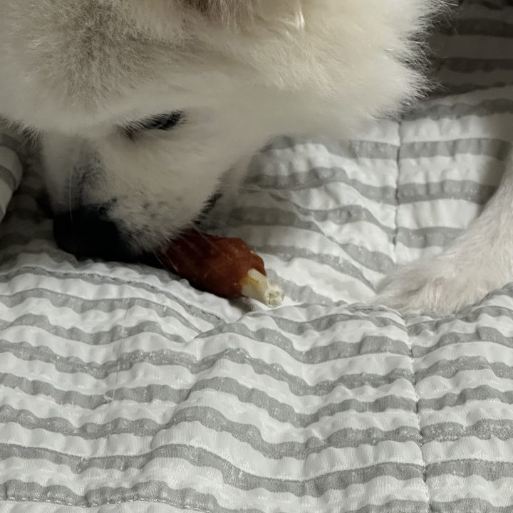 개밥도둑 강아지 건조간식 육포 말이 껌 대용량 실속간식1kg, 치킨사사미껌, 1kg, 1개