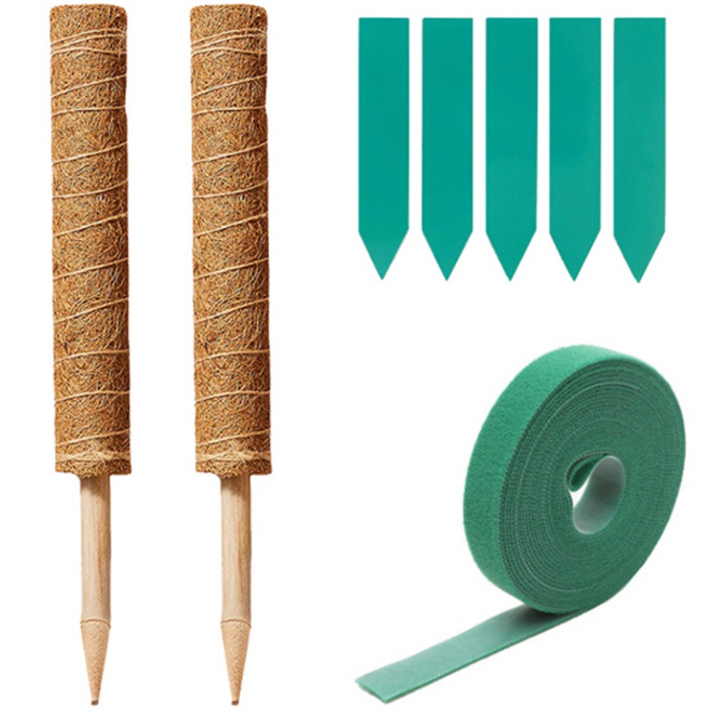 미화부장 연장형 식물지지대: 실내 식물의 든든한 동반자 수태봉