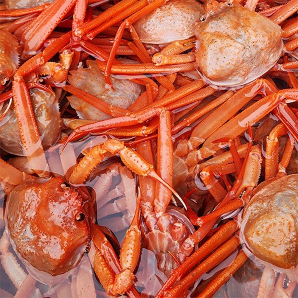 오늘 단 하루, 포항의 맛! 신선함 가득 연지 홍게를 집에서 만나보세요!