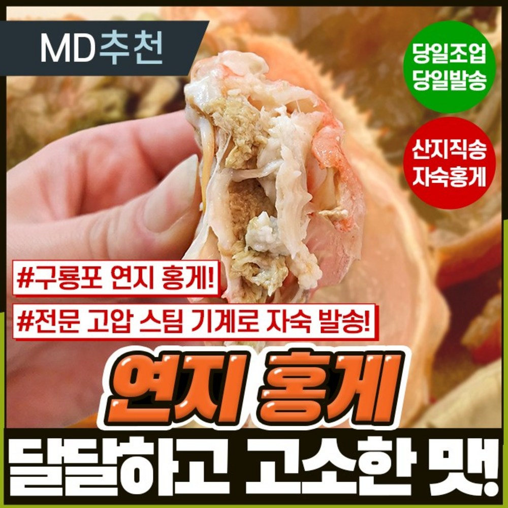 오늘 단 하루, 포항의 맛! 신선함 가득 연지 홍게를 집에서 만나보세요!