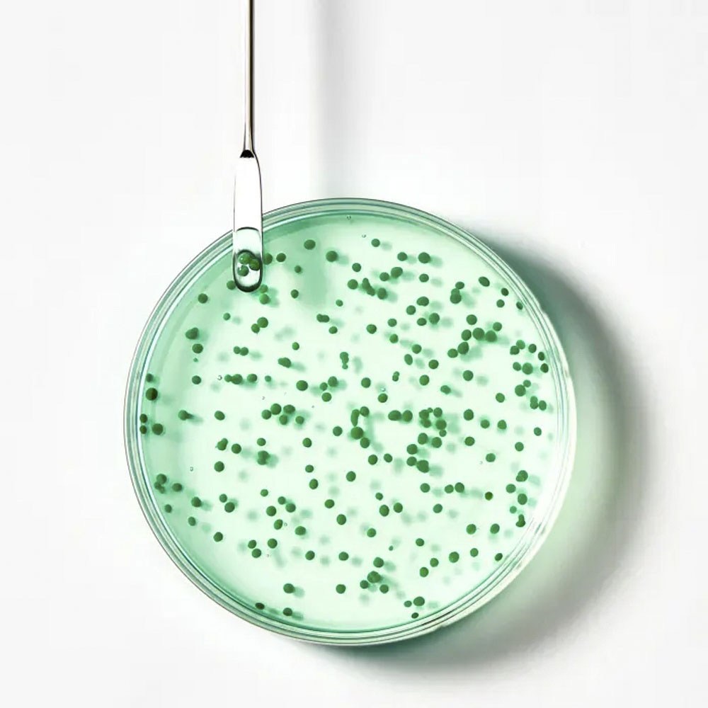 두피 건강의 시작은 르네휘테르 샴푸에서!