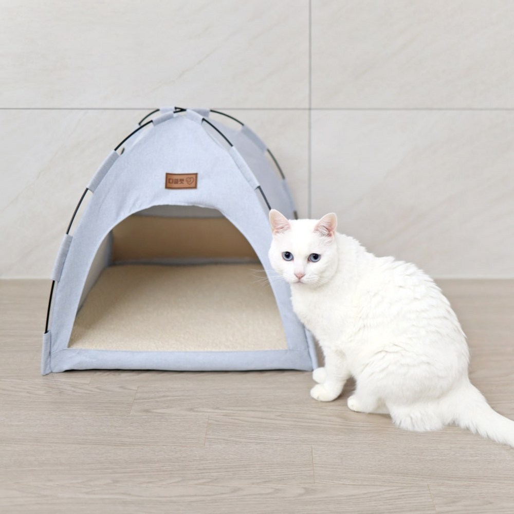 반려동물을 위한 최고의 아지트